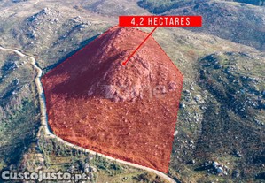 Terreno Florestal Com 4.2 Hectares Em Marco De...