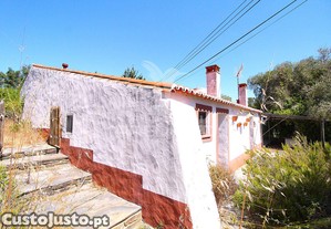 imagem_31