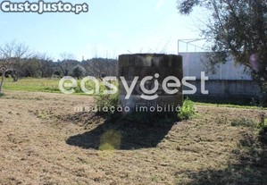 imagem_26