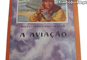imagem_1