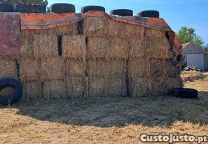 Feno para alimentar animais