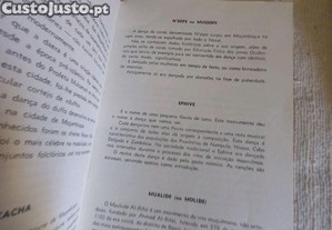 imagem_7