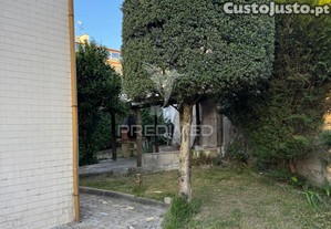 imagem_24