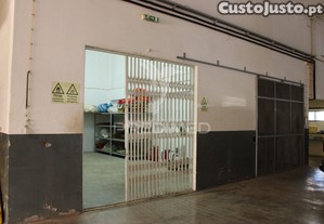 imagem_12