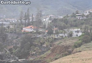 imagem_11