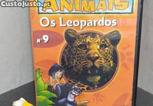 imagem_7