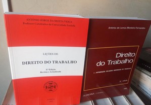 imagem_8