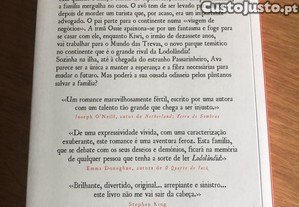 imagem_2