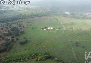 imagem_26