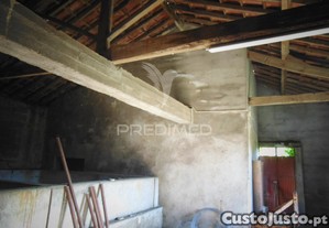 imagem_14