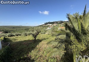 imagem_6