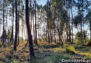 Terreno Rustico