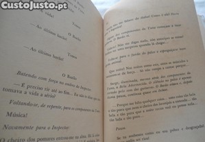imagem_8