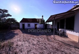 imagem_7