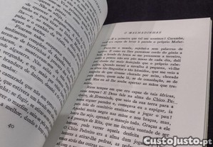 imagem_4