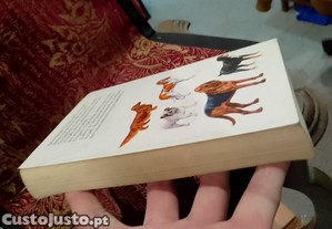 imagem_9