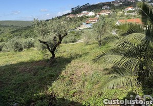 imagem_10
