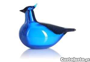 imagem_1