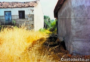 imagem_20