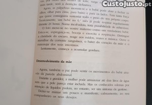 imagem_7