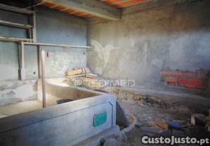 imagem_14
