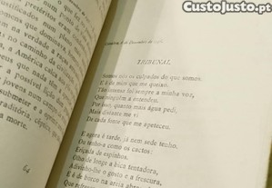 imagem_8