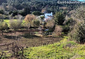 Quinta agricola