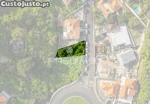 imagem_5