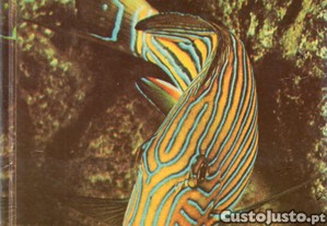 imagem_3