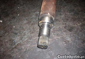 imagem_3