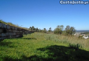 imagem_12