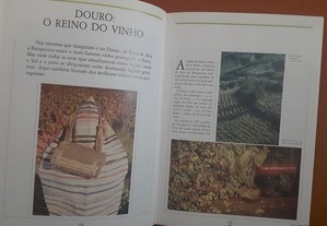 imagem_8