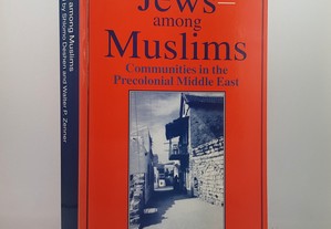 Jews among Muslims: Communities in the Precolonial Middle East 1996