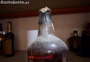 imagem_3