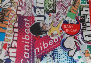 imagem_13