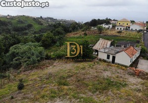 imagem_29