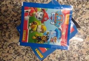 imagem_3