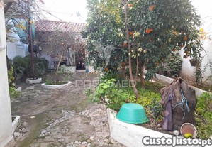 imagem_29