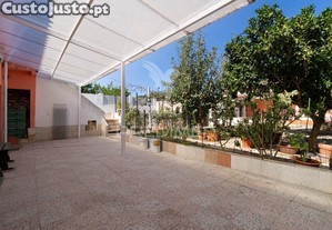 imagem_15