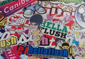 imagem_8