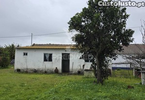 imagem_22