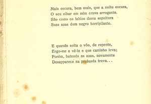 imagem_8
