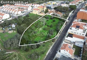 imagem_3