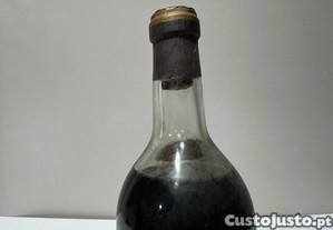 imagem_5