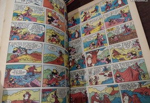 imagem_5