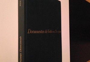 imagem_3