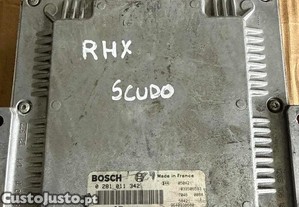 imagem_1