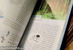 imagem_3