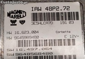 imagem_2