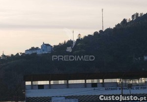imagem_7